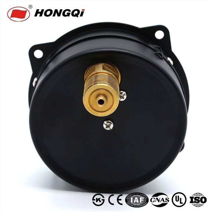 Bottom Entry SS/Grey/Black Painted Pressure Gauge Case