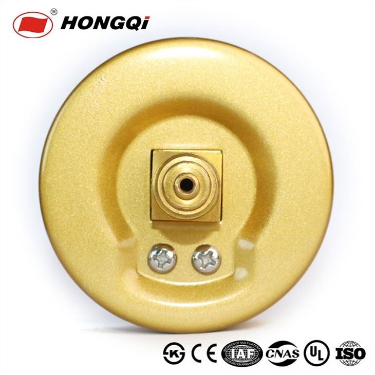 Y-60Z Brass Socket Gold Case Pressure Gauge
